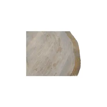 Plaster Dębowy 81x76x9cm Dąb