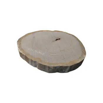 Plaster Dębowy 79x74x9cm Dąb