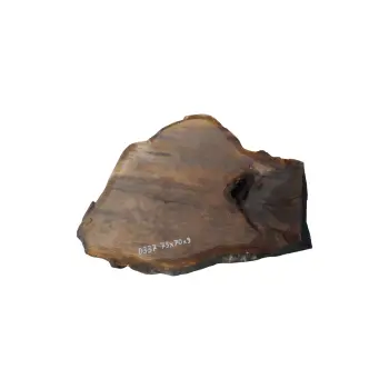Plaster Dębowy 75x70x9cm Dąb