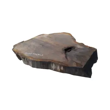 Plaster Dębowy 75x70x9cm Dąb