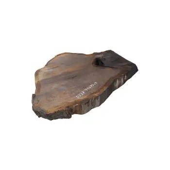 Plaster Dębowy 75x70x9cm Dąb