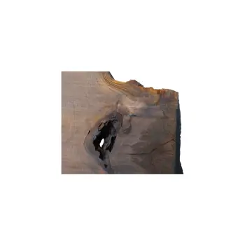 Plaster Dębowy 75x70x9cm Dąb