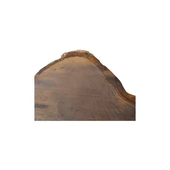 Plaster Dębowy 75x70x9cm Dąb