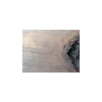Plaster Dębowy 75x70x9cm Dąb