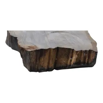 Plaster Dębowy 79x64x9cm Dąb