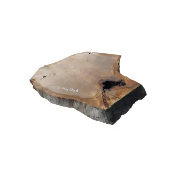 Plaster Dębowy 79x67x8cm Dąb