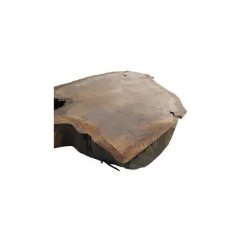 Plaster Dębowy 79x67x8cm Dąb