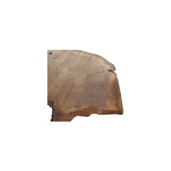 Plaster Dębowy 79x67x8cm Dąb