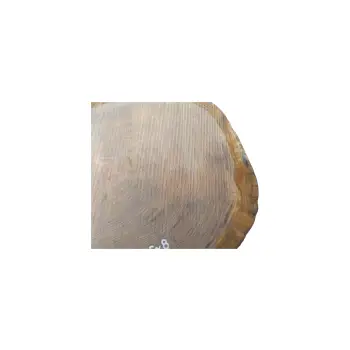 Plaster Dębowy 67x56x8cm Dąb