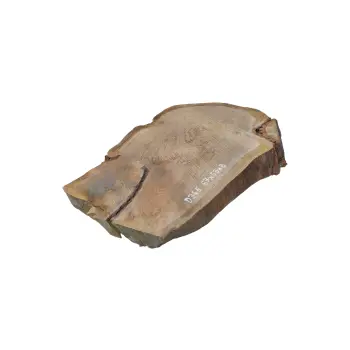 Plaster Dębowy 67x53x8cm Dąb