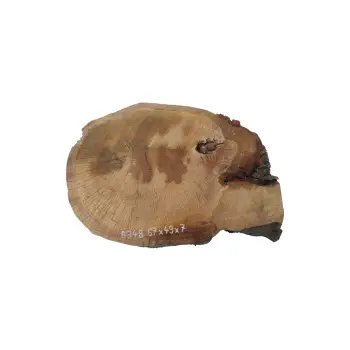 Plaster Dębowy 67x49x7cm Dąb