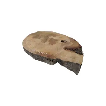Plaster Dębowy 67x49x7cm Dąb
