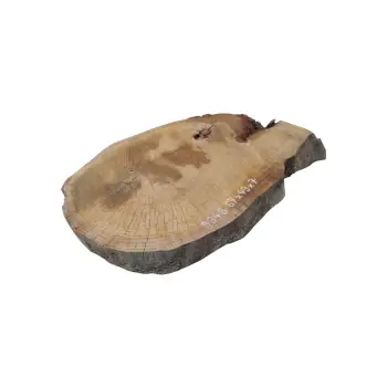 Plaster Dębowy 67x49x7cm Dąb