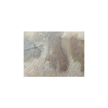 Plaster Dębowy 67x49x7cm Dąb