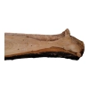 Deska Czereśni 85x5-20x3,1 cm