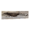 Deska Dębowa 141x12-27x4,1 cm Dąb