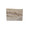 Deska Dębowa 31x38x4,1 cm Dąb