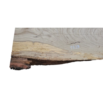 Deska Dębowa 81x27-39x4,1 cm Dąb