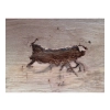 Deska Dębowa 51x18-19x2,2 cm Dąb
