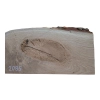 Deska Dębowa 67x7-20x3,8 cm Dąb