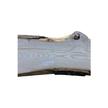 Deska Jesionowa 76x14-23x3,4 cm