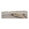 Deska Jesionowa 101x15-18x4,5 cm