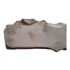 Deska Jesionowa 77x11-23x2,3 cm