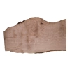 Deska Jesionowa 69x7-23x1,9 cm