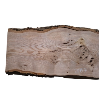 Deska Jesionowa 81x20-27x3,3 cm