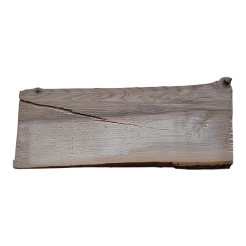 Deska Jesionowa 42x15-16x3,3 cm