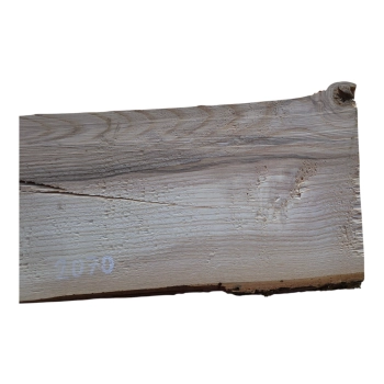 Deska Jesionowa 42x15-16x3,3 cm