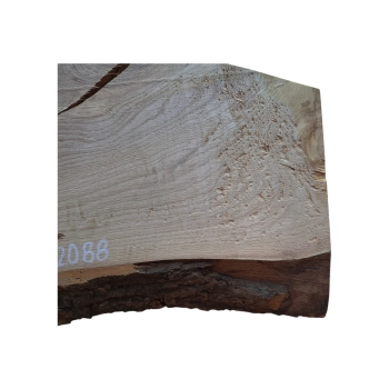 Deska Jesionowa 41x15-30x3,7 cm
