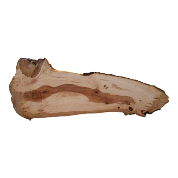 Deska Jabłoni 56x4-24x2,1 cm