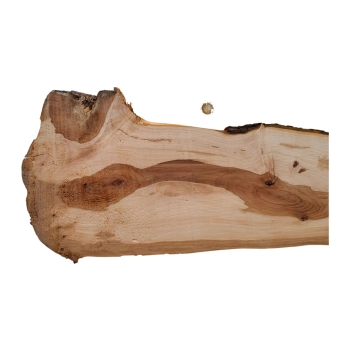 Deska Jabłoni 56x4-24x2,1 cm