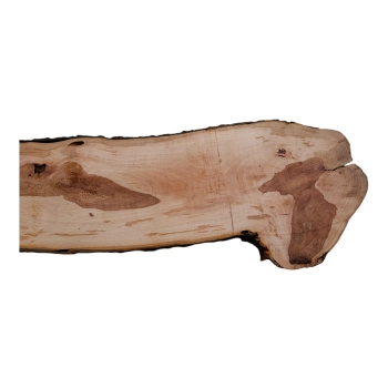 Deska Jabłoni 82x3-27x2,2 cm