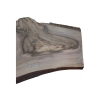 Deska Orzecha Włoskiego 48x14-26x1,9 cm