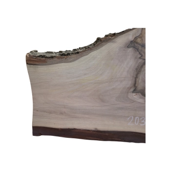Deska Orzecha Włoskiego 48x14-26x1,9 cm
