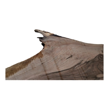 Deska Orzecha Włoskiego 50x5-33x3 cm