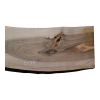 Deska Orzecha Włoskiego 73x16-25x2,9 cm