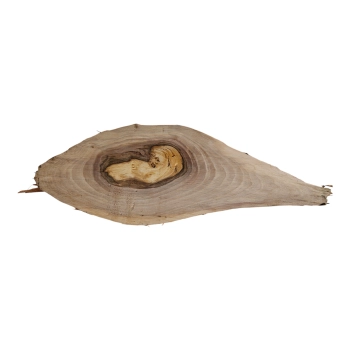 Deska Orzecha Włoskiego 34x4-19x3,3 cm