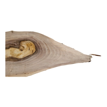 Deska Orzecha Włoskiego 34x4-19x3,3 cm