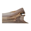 Deska Orzecha Włoskiego 75x25-40x3,1 cm