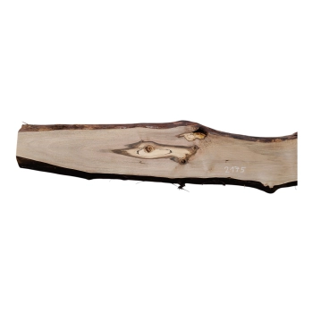 Deska Orzecha Włoskiego 130x7-20x2,5 cm