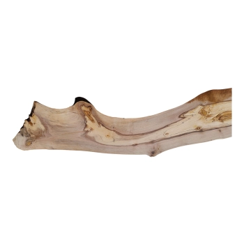 Deska Orzecha Włoskiego 130x7-20x2,5 cm