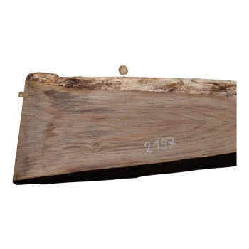 Deska Orzecha Włoskiego 55x4-17x2,8 cm