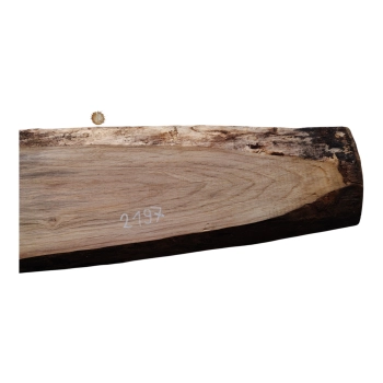 Deska Orzecha Włoskiego 55x4-17x2,8 cm