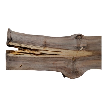 Deska Orzecha Włoskiego 77x19-28x2,8 cm