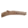 Deska Orzecha Włoskiego 146x5-16x2,8 cm