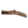 Deska Orzecha Włoskiego 146x5-16x2,8 cm