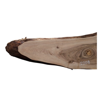 Deska Orzecha Włoskiego 71x3-20x2,6 cm
